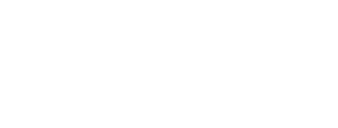Volitive Investments